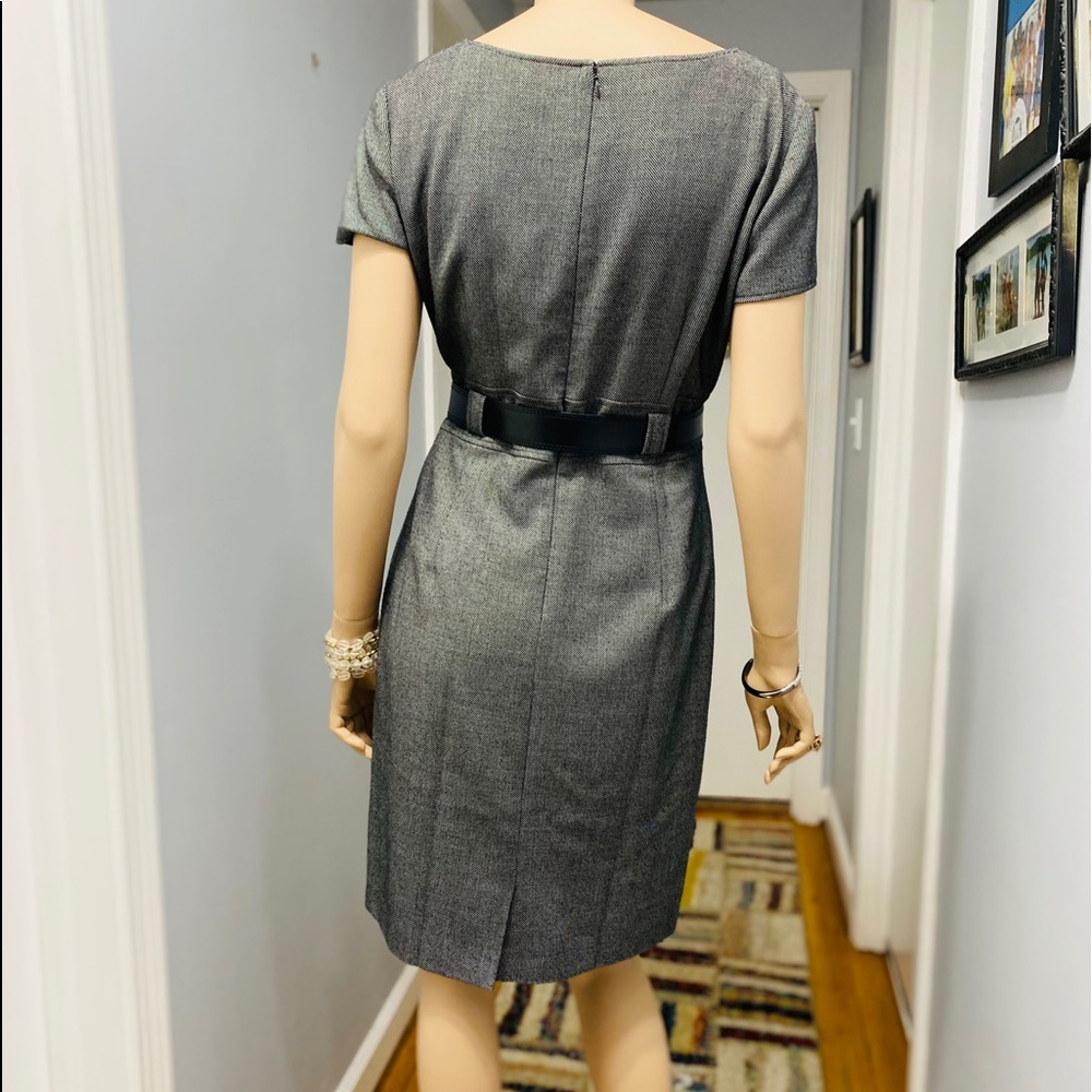 Tahari S Levine tweed Gray dress W Black belt - Picture 2 of 7